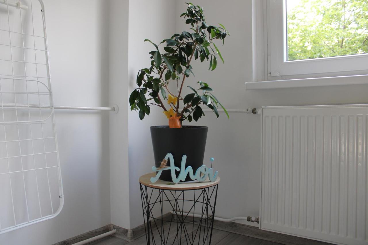 Apartament Izzy Apartament Miszkolc Zewnętrze zdjęcie